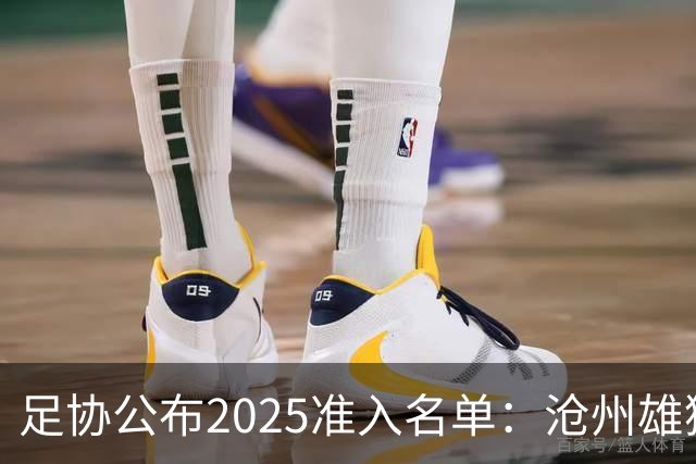 足协公布2025准入名单：沧州雄狮、广州队无缘